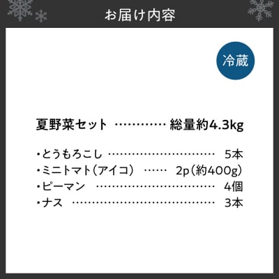 夏野菜セット_hs504-004