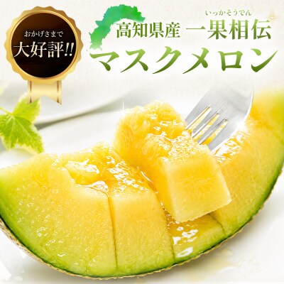 訳あり メロン2玉入り 青肉 2個 家庭用 マスクメロン 数量限定【7日程度で発送】 tn-0063