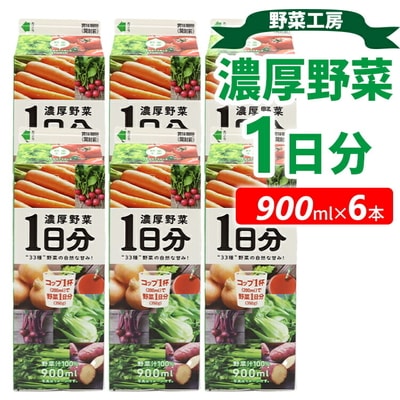 野菜工房 濃厚野菜1日 6分本 | 野菜 ドリンク ジュース 砂糖不使用 食塩不使用 _DT13