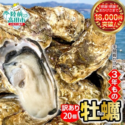 【先行受付】 訳あり 殻付き 生牡蠣 20個 規格外 牡蠣 かき カキ 冷蔵 生食 マルテン水産