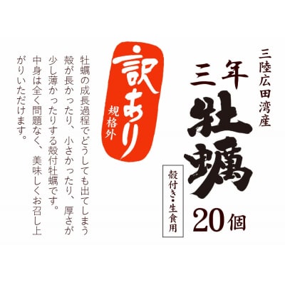 【先行受付】 訳あり 殻付き 生牡蠣 20個 規格外 牡蠣 かき カキ 冷蔵 生食 マルテン水産