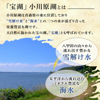 小川原湖産 大和しじみ (砂抜き済・冷凍) (220g×7袋) 