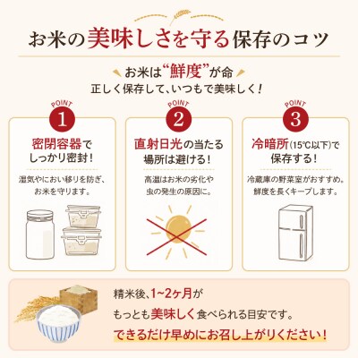 《令和7年産》ダイヤ米宮城県大崎市産ササニシキ【白米15kg】