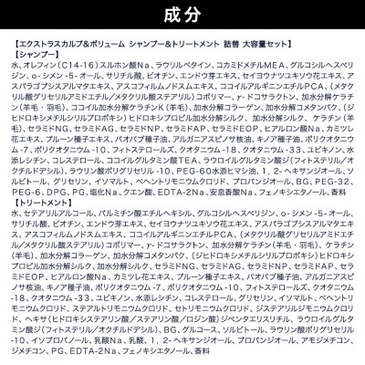 ダイアン エクストラスカルプ&ボリューム シャンプー+トリートメント詰替|19_ntl-230201