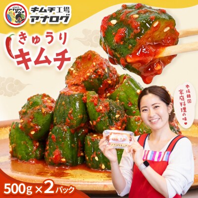 熟成秘伝のオイ(きゅうり)キムチ(500g×2パック)(H104207)