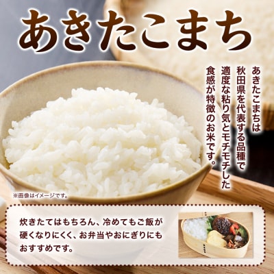 あきたこまち ＜R8産 新米受付＞ 白米 10kg(5kg×2袋)|23_szn-011001s