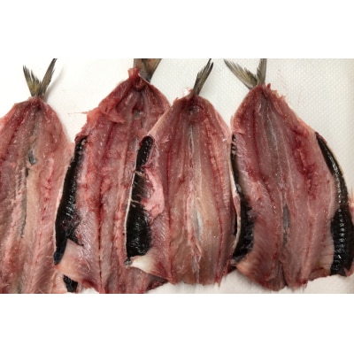 カジキマグロと旬の魚 フライ セット 各500g 計1kg 冷凍 [宝達志水町 38600588]