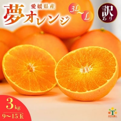 【訳あり】みかん職人の夢オレンジ3kg 夢おれんじ みかん職人武田屋