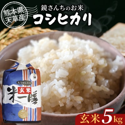 【令和7年産】コシヒカリ 玄米 5kg_S050-008A