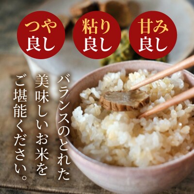 【令和7年産】コシヒカリ 玄米 5kg_S050-008A