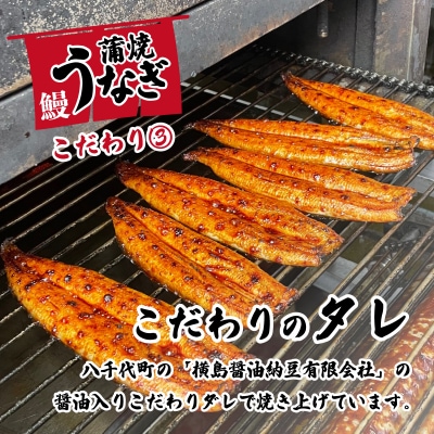 【訳あり】 国産うなぎ 蒲焼き 3尾 420g以上 大きさ不揃い タレ・山椒付き