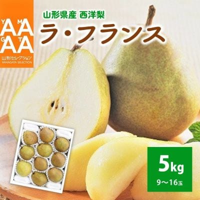 西洋梨(ラ・フランス)5kg　特秀品　大玉　0021-2605