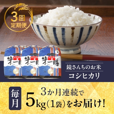 【3ヶ月定期便】コシヒカリ 精米 5kg_S050-T03A