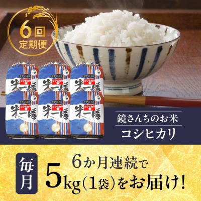 【6ヶ月定期便】コシヒカリ 精米 5kg_S050-T04A