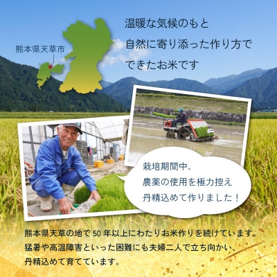 【6ヶ月定期便】コシヒカリ 精米 5kg_S050-T04A