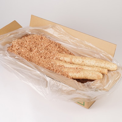 【軽米町産】長芋　約10kg