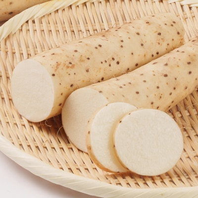 【軽米町産】長芋　約10kg