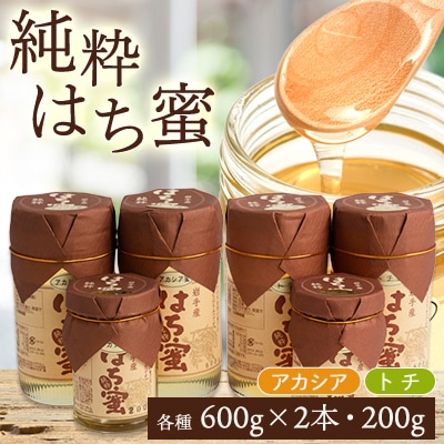 天然ハチミツ2種類6個セット(アカシア600g×2、200g×1、トチ600g×2、200g×1)