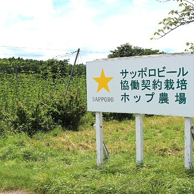 【軽米町産ホップ使用】サッポロ生ビール黒ラベル350ml缶×6本