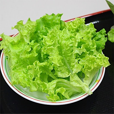 【植物工場で育ったレタス】「レタスのがっこう」1週間分(計7袋)
