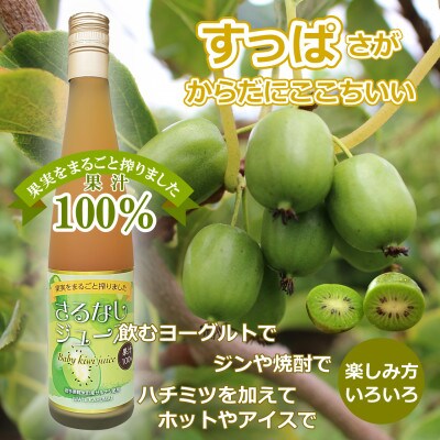 【すっぱさがからだにここちいい】果汁100% さるなしジュース500ml 1本