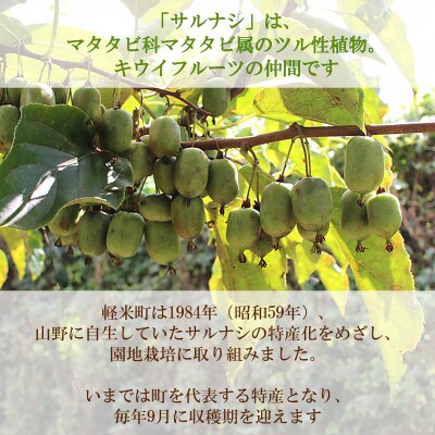 【すっぱさがからだにここちいい】果汁100% さるなしジュース500ml 1本