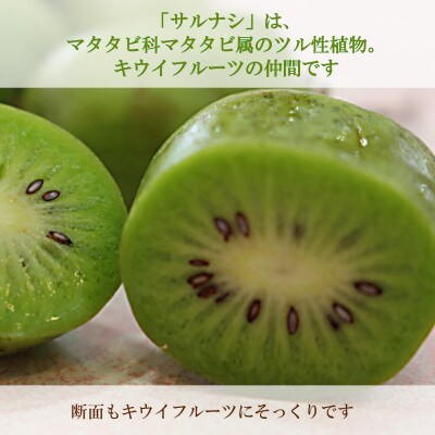 【すっぱさがからだにここちいい】果汁100% さるなしジュース500ml 1本