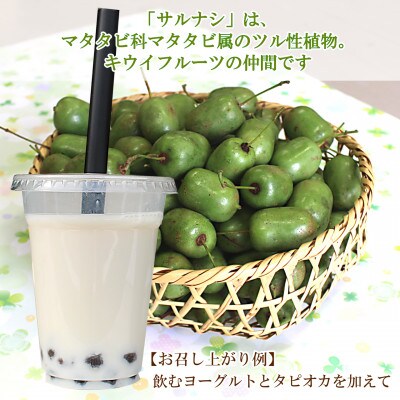 【すっぱさがからだにここちいい】果汁100% さるなしジュース500ml 1本