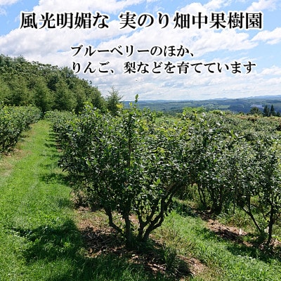 【園主厳選】実のり畑中果樹園産のもぎたて完熟生ブルーベリー約500g(M～2Lサイズ込み)