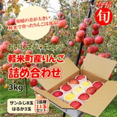 【今が旬! 軽米町産りんご】「サンふじ」「はるか」の詰め合わせ 3kg(11玉)