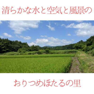 【令和4年産】 おりつめほたる舞 20kg(10kg×2袋)