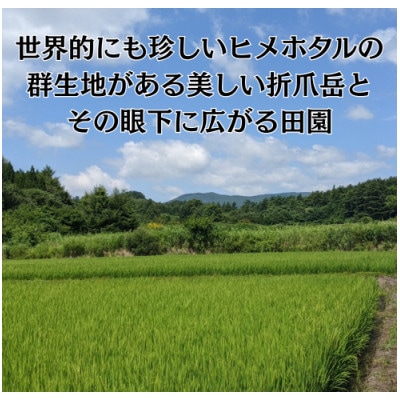 【さとふる限定】岩手県軽米産あきたこまち(精米)5kg×6袋 計30kg　真空パック