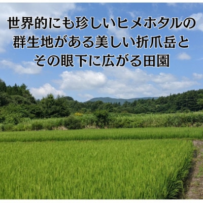 【さとふる限定】岩手県軽米産あきたこまち(精米)5kg×4袋　計20kg　真空パック