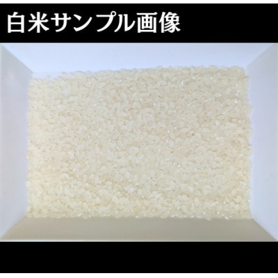 【さとふる限定】岩手県軽米産あきたこまち(精米)5kg×4袋　計20kg　真空パック