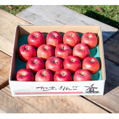 岩手県軽米町産 サンフジリンゴ 約5キロ (16~18個入り)