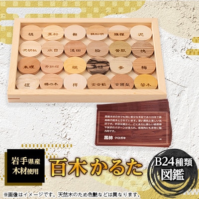 百木　かるた　B24種類　(図鑑)
