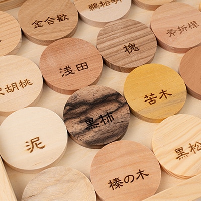 百木　かるた　B24種類　(図鑑)