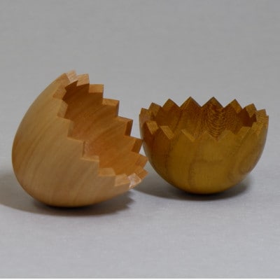 百木　卵とひよこ　オノオレカンバ&桑