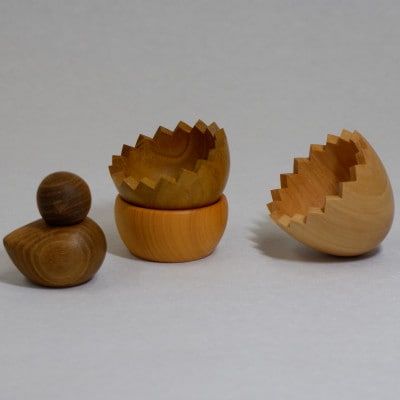 百木　卵とひよこ　オノオレカンバ&桑