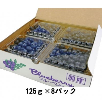 【期間限定】【苅谷果樹園】大粒ブルーベリー(L～2Lサイズ)約1kg　小分けパック　岩手県軽米町