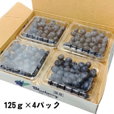 【期間限定】【苅谷果樹園】大粒ブルーベリー(L～2Lサイズ)約500g　小分けパック　岩手県軽米町