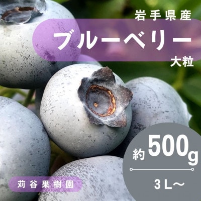 【期間限定】【苅谷果樹園】大粒ブルーベリー(3L～サイズ)約500g　小分けパック　岩手県軽米町