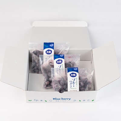 軽米町産【完熟大粒ブルーベリー】冷凍　300g×3袋(合計約900g)