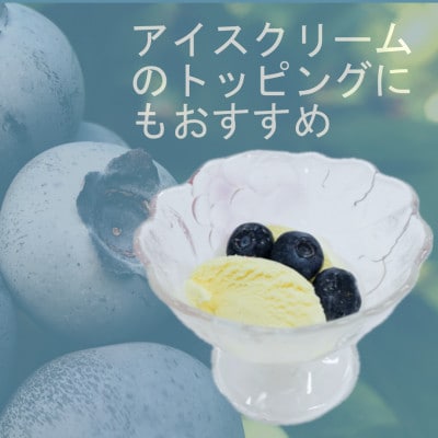 軽米町産【完熟大粒ブルーベリー】冷凍　300g×5袋(合計約1500g)