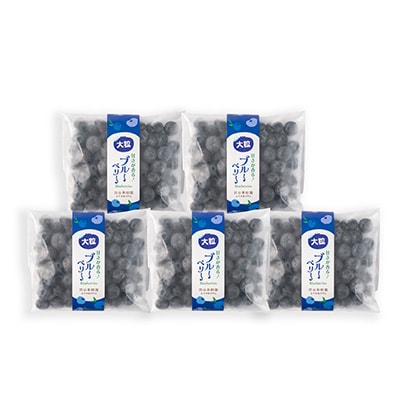 軽米町産【完熟大粒ブルーベリー】冷凍　300g×5袋(合計約1500g)