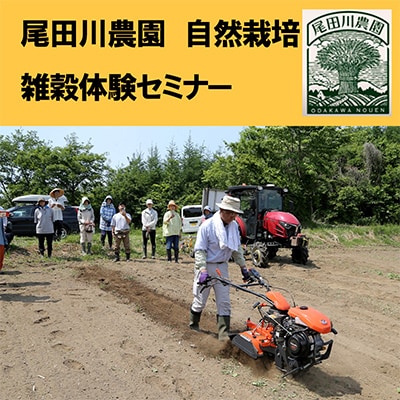 尾田川農園 雑穀の聖地 岩手県軽米町 ヒエ 自然栽培 雑穀体験セミナー 1回参加