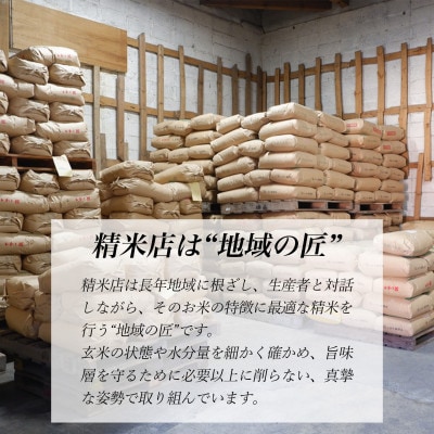 令和6年産　岩手県軽米町産　精米　あきたこまち　10kg(5kg×2袋)