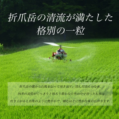令和7年産　岩手県軽米町産　精米　あきたこまち10kg(5kg×2袋)