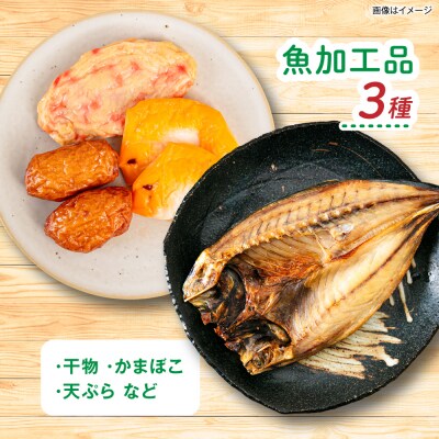 全3回定期便 糸島産 魚 米 野菜 果物 厳選詰め合わせ MINORI BOX M [AOP024]
