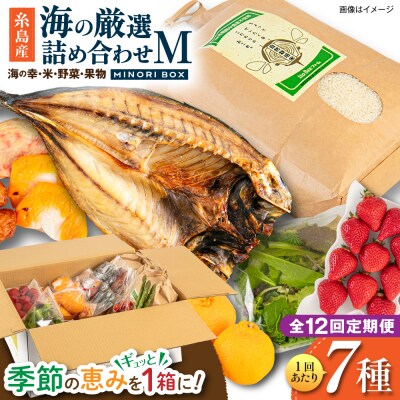 全12回定期便 糸島産 魚 米 野菜 果物 厳選詰め合わせ MINORI BOX M[AOP026]